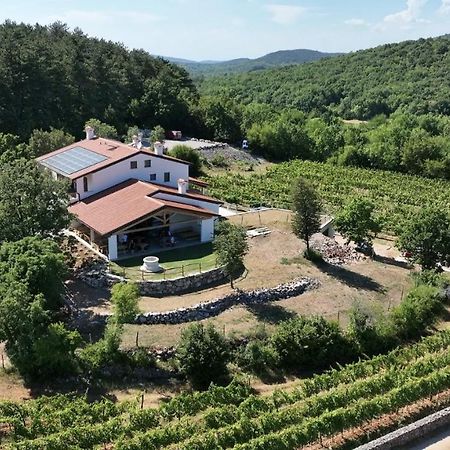 Agriturismo Budin Sgonico エクステリア 写真