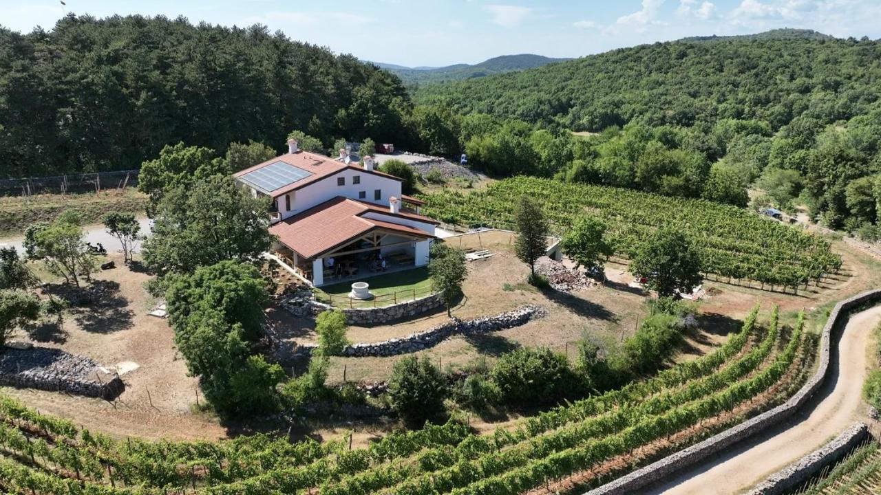 Agriturismo Budin Sgonico エクステリア 写真